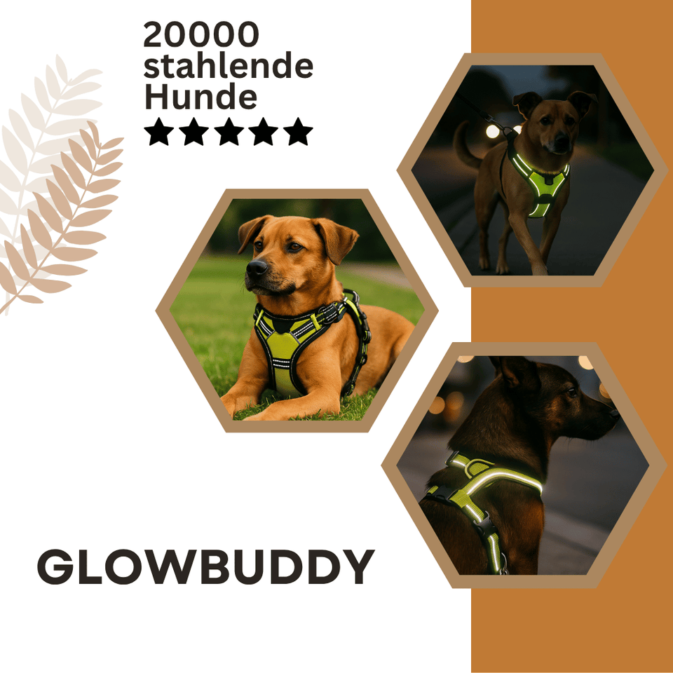 Glowbuddy