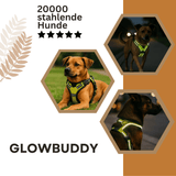 Glowbuddy
