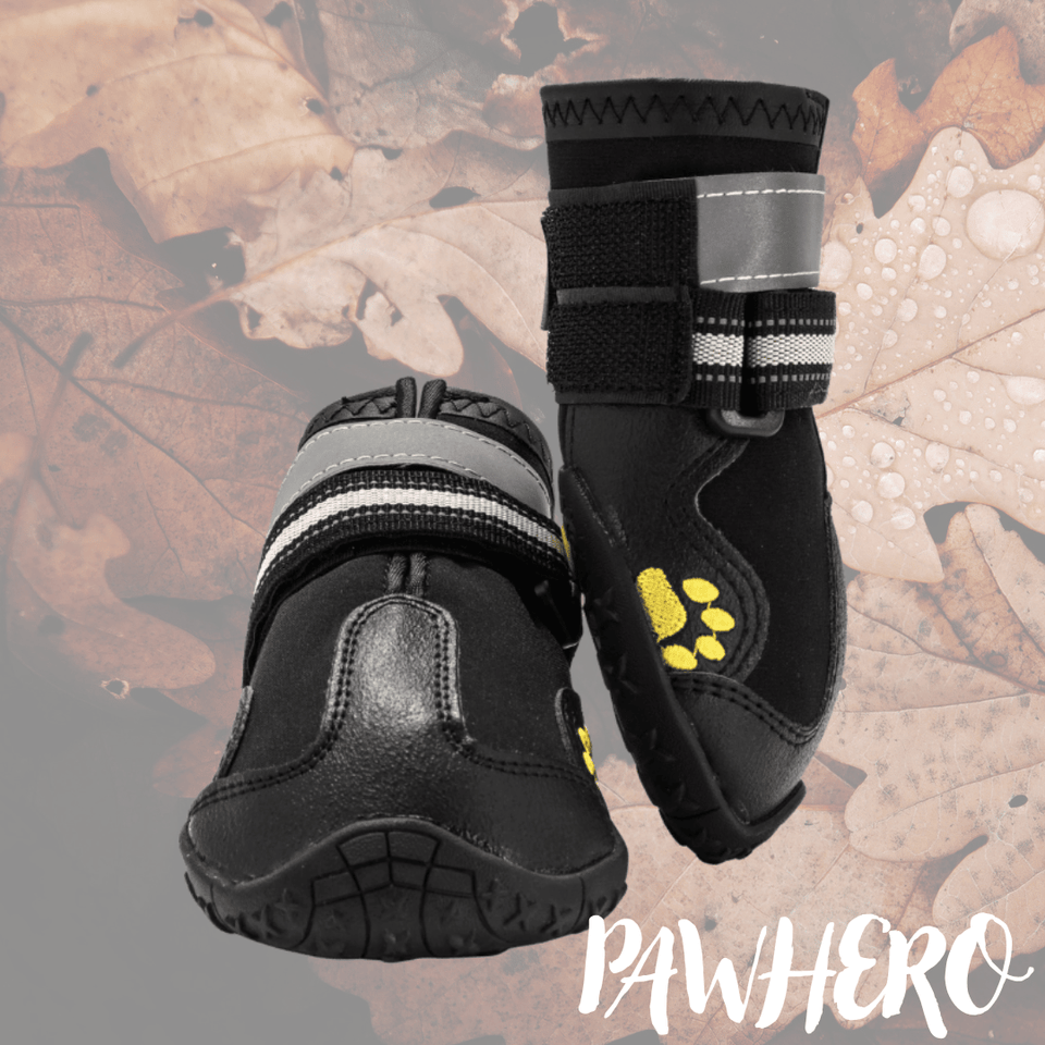 PawHero
