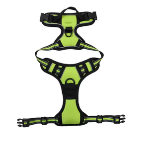 Glowbuddy