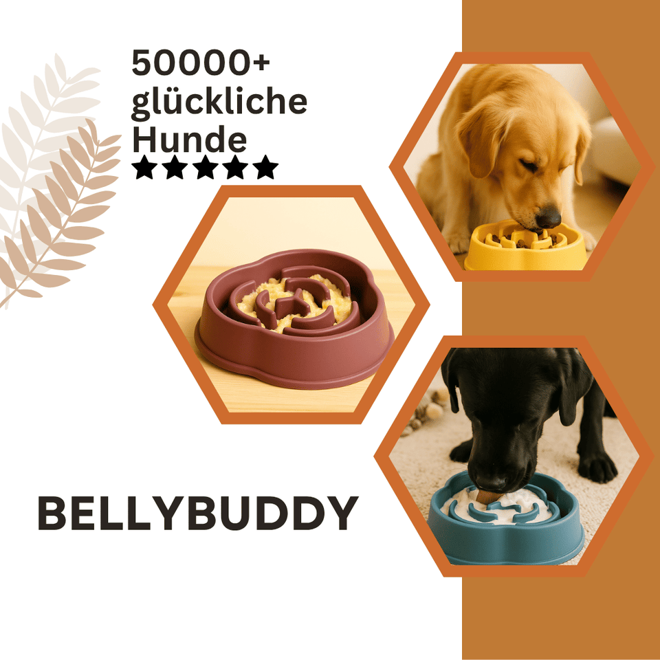 BellyBuddy