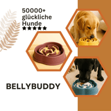 BellyBuddy