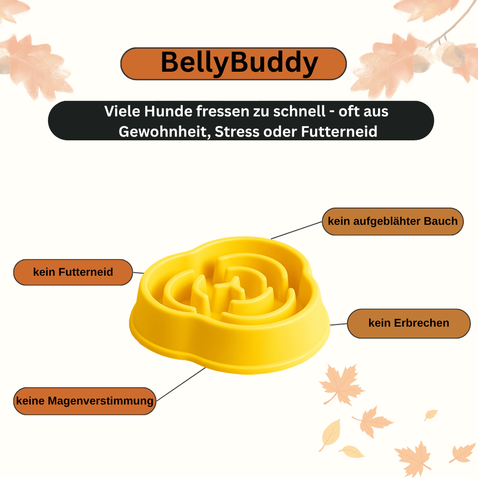 BellyBuddy