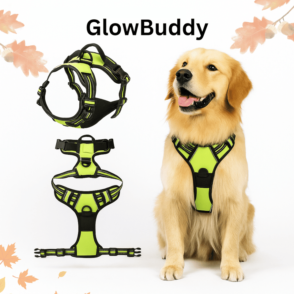 Glowbuddy