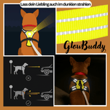 Glowbuddy
