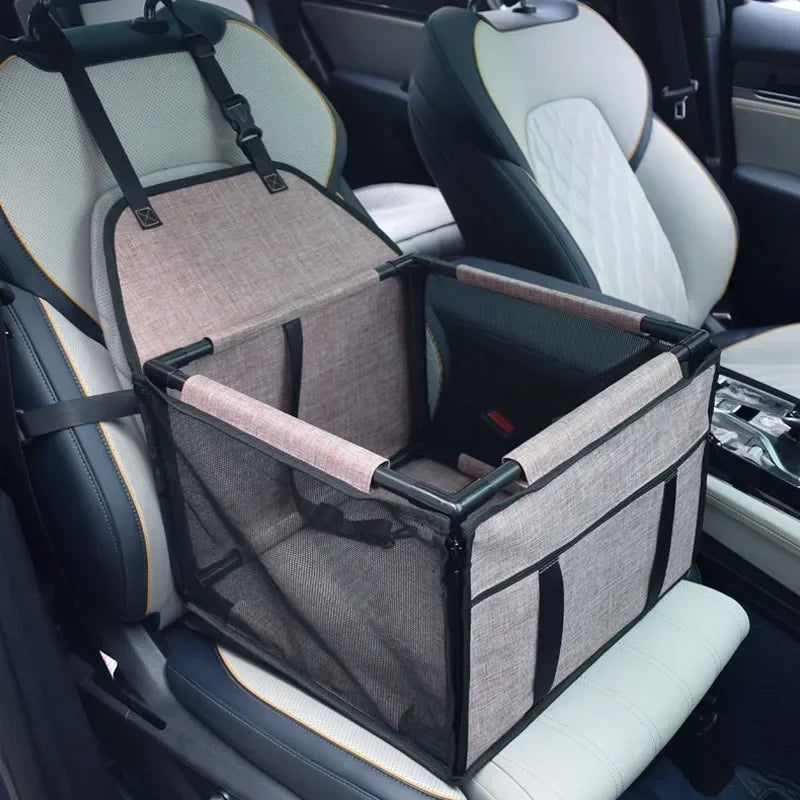 DogDrive Box