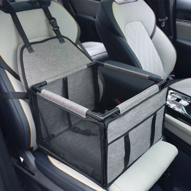DogDrive Box